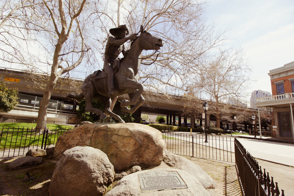 Cleaning Up the Environment, One Bowel at a Time: The Role of Bidets and Legislation