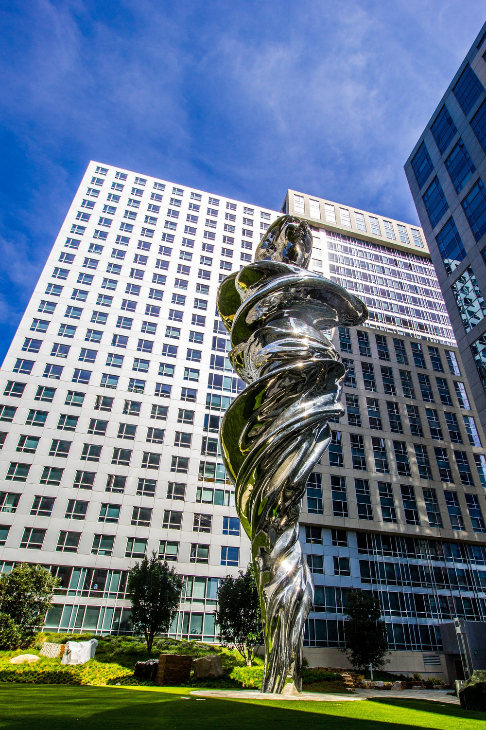 Silphium: The Ancient Roman Contraceptive Shrouded in Mystery