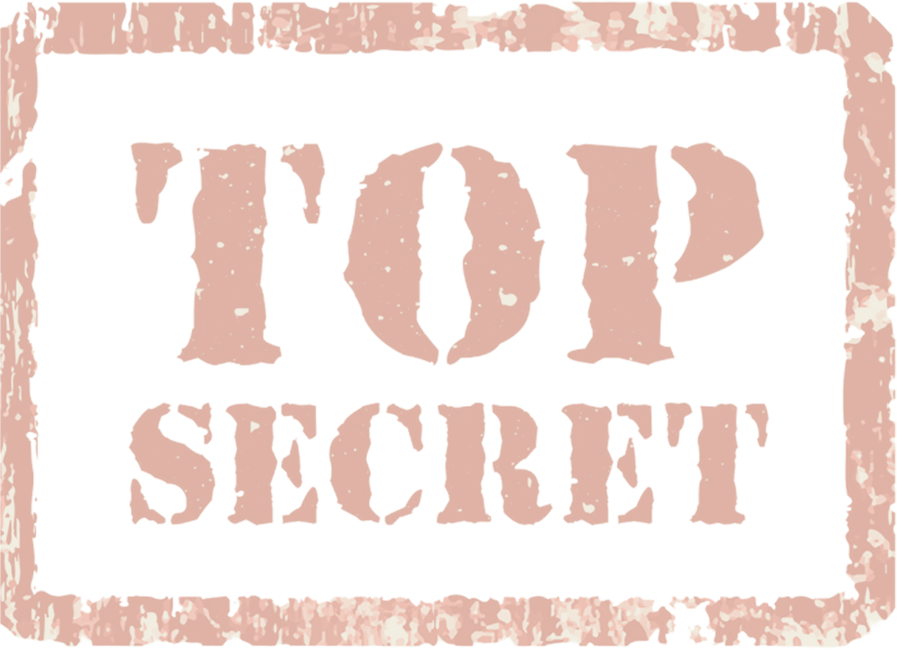 🚀 How I Went From WordPress to Coding My Own Shopify Theme