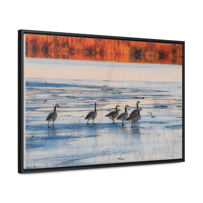 Arts by Dylan: Lower Klamath Basin Frozen Pond Birds Photography Canvas