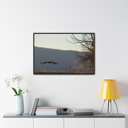 Arts by Dylan: Bald Eagle in Flight III Lower Klamath Canvas