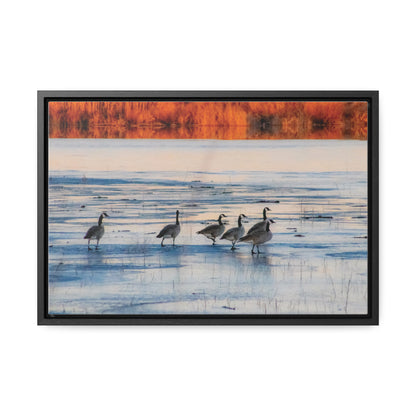 Arts by Dylan: Lower Klamath Basin Frozen Pond Birds Photography Canvas