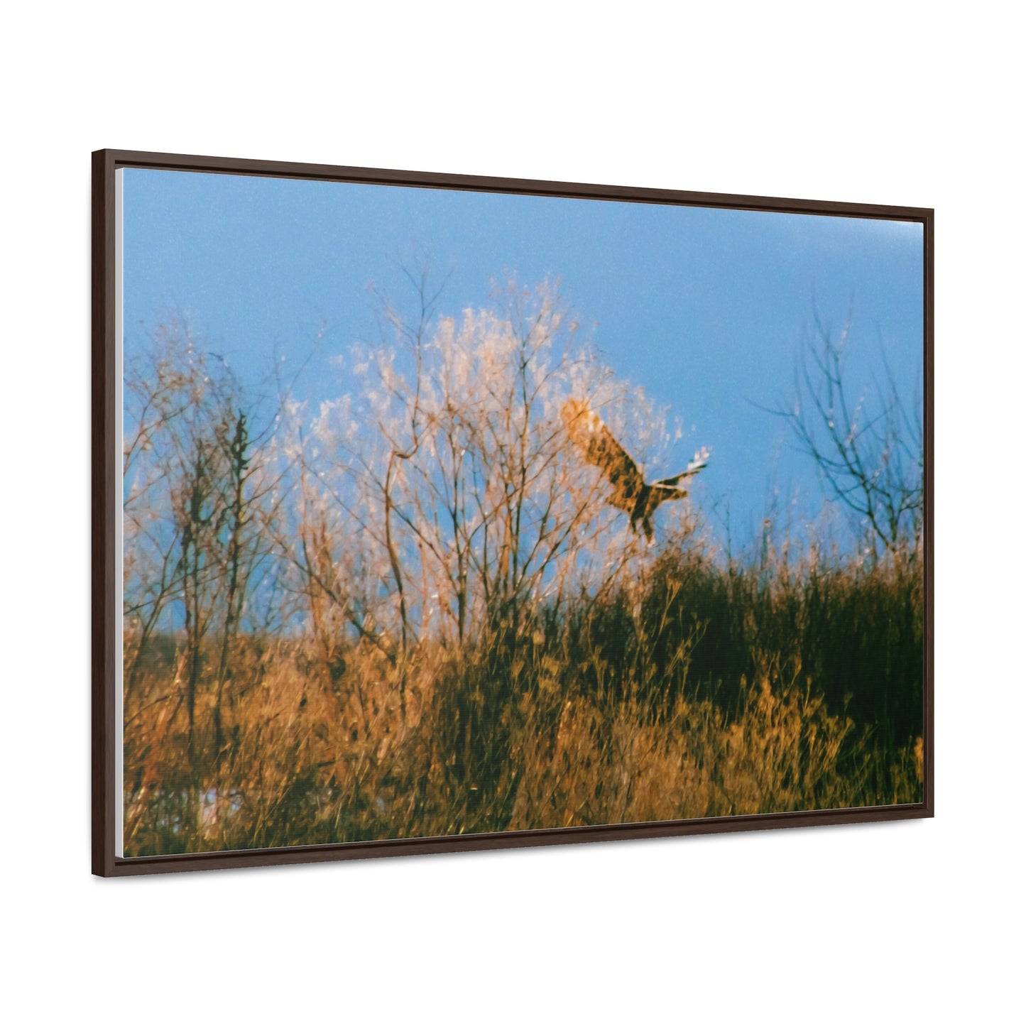 Arts by Dylan: Bald Eagle in Flight I Lower Klamath Canvas