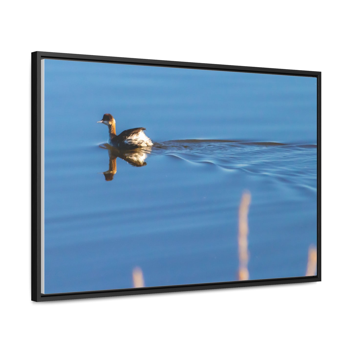 Arts by Dylan: Duck at Tule Lake Lower Klamath Canvas