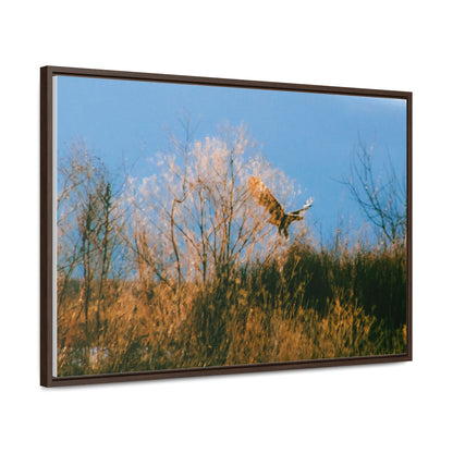 Arts by Dylan: Bald Eagle in Flight I Lower Klamath Canvas