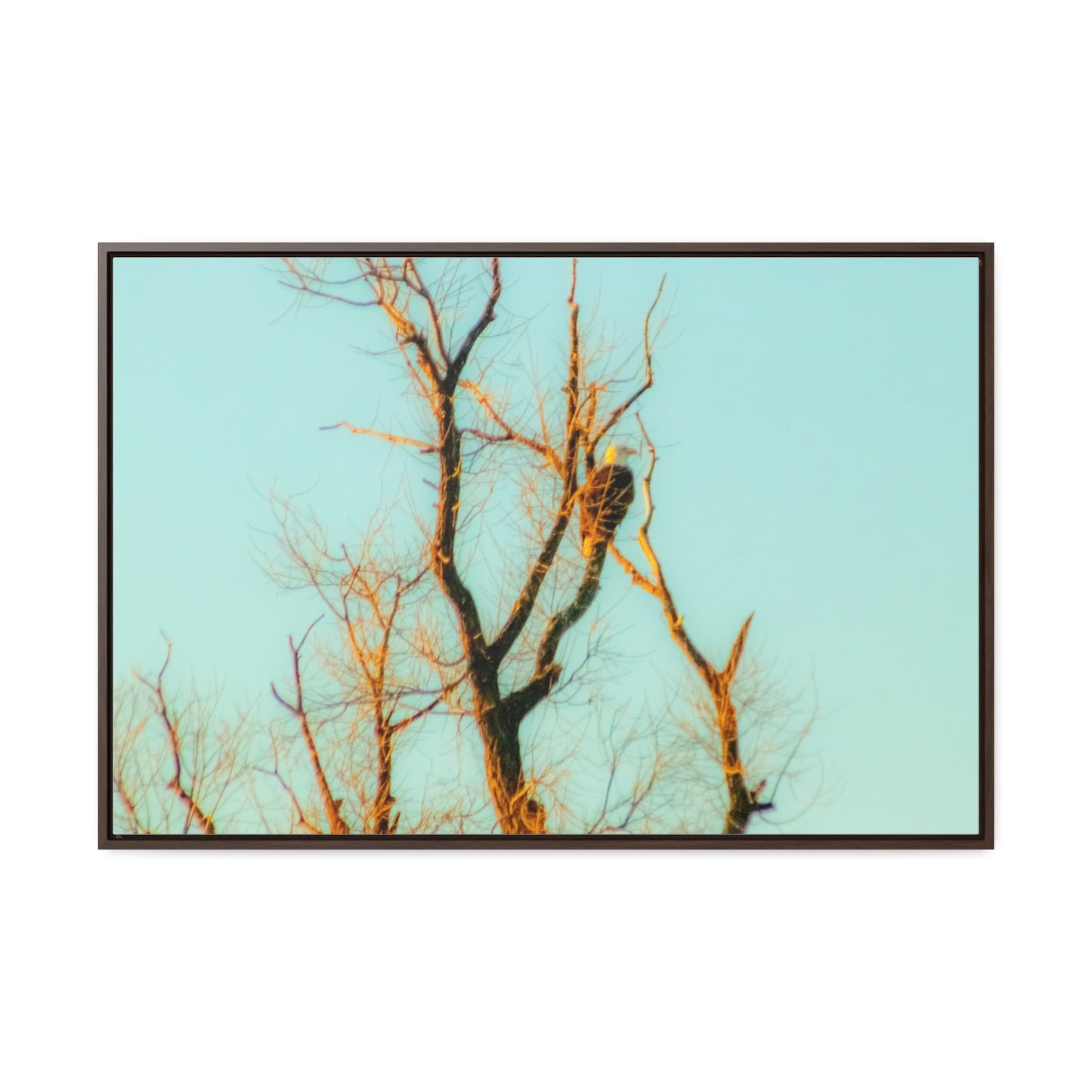 Arts by Dylan: Bald Eagle  Lower Klamath Canvas