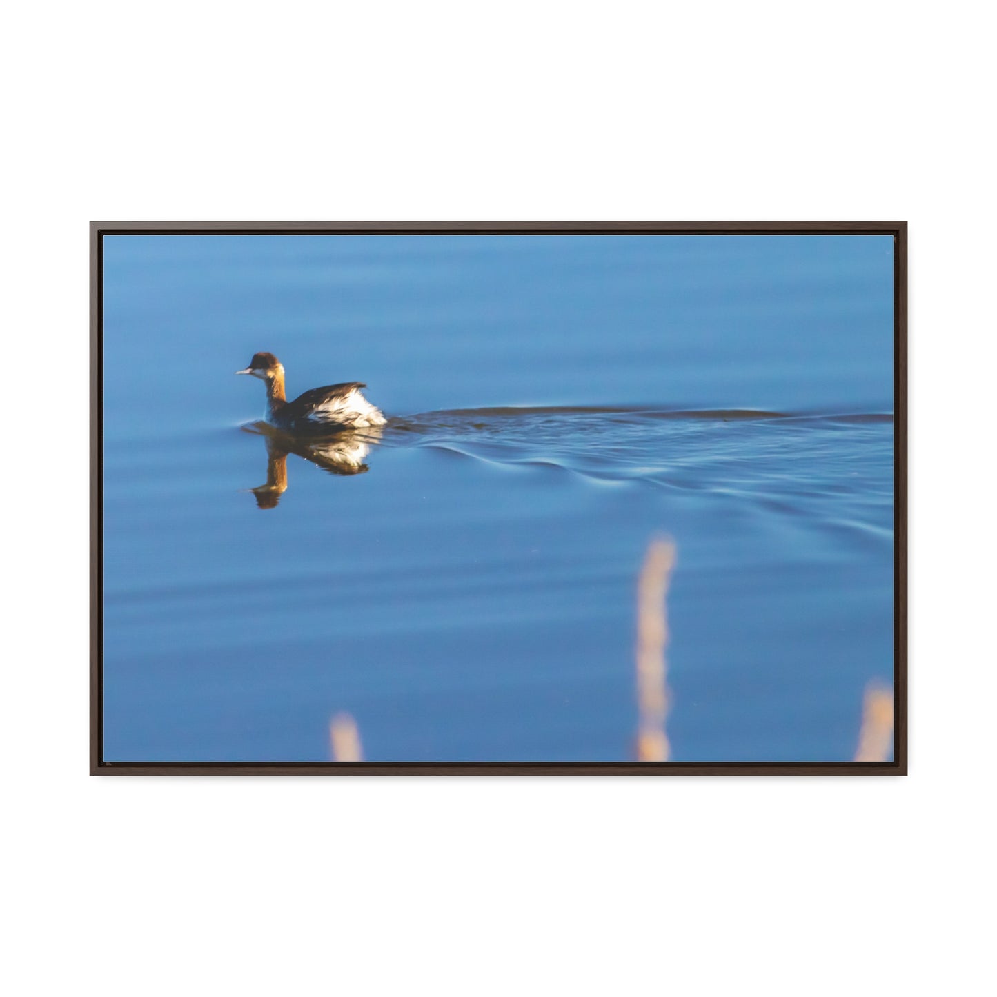 Arts by Dylan: Duck at Tule Lake Lower Klamath Canvas