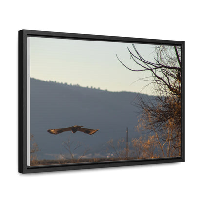 Arts by Dylan: Bald Eagle in Flight III Lower Klamath Canvas