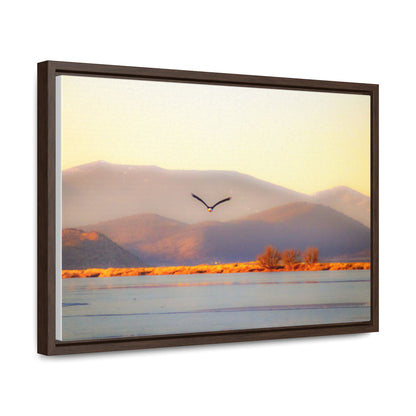 Arts by Dylan: Bald Eagle in Flight II Lower Klamath Canvas