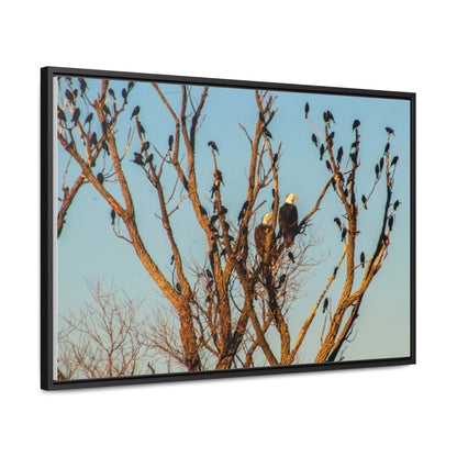 Arts by Dylan: Bald Eagle II Lower Klamath Canvas