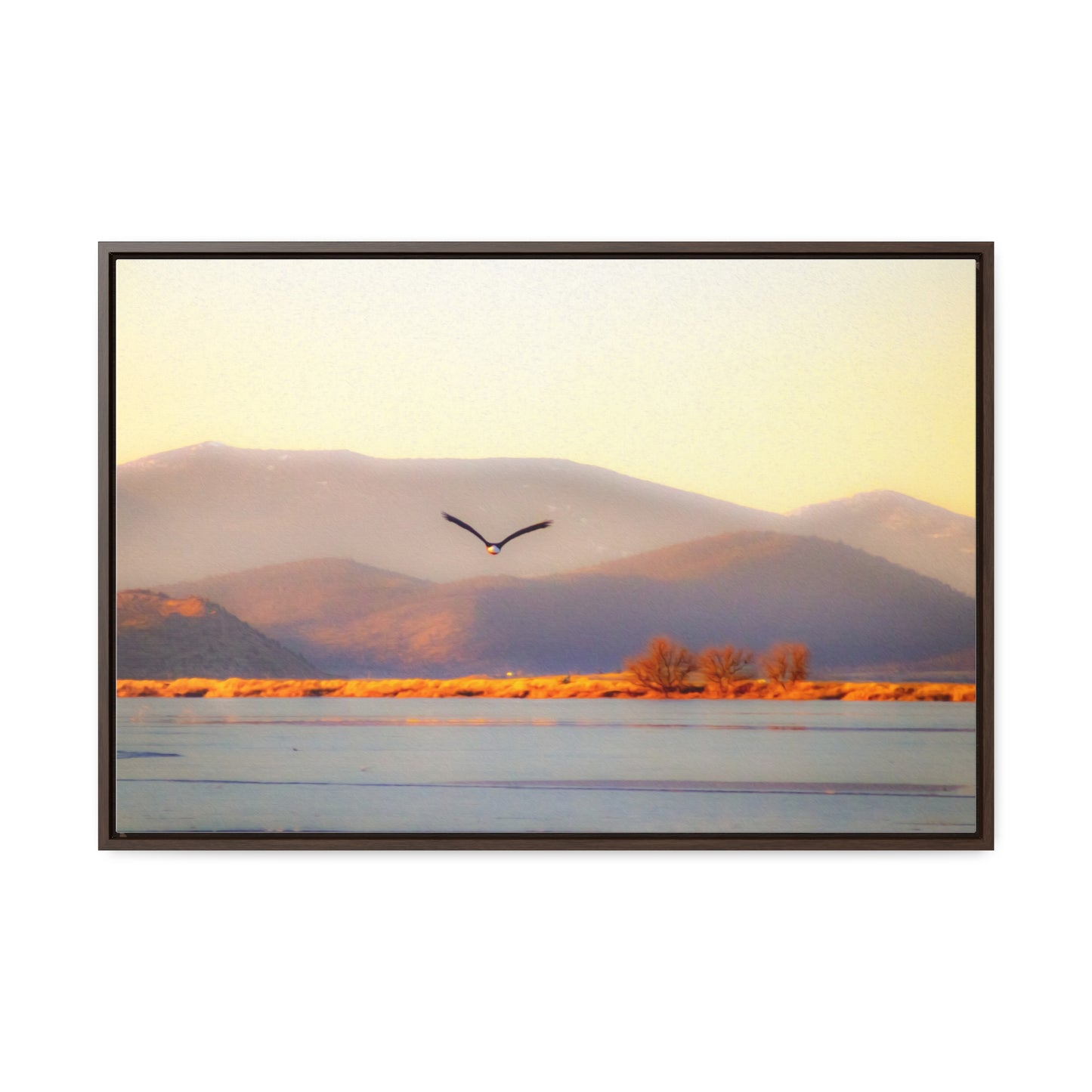 Arts by Dylan: Bald Eagle in Flight II Lower Klamath Canvas