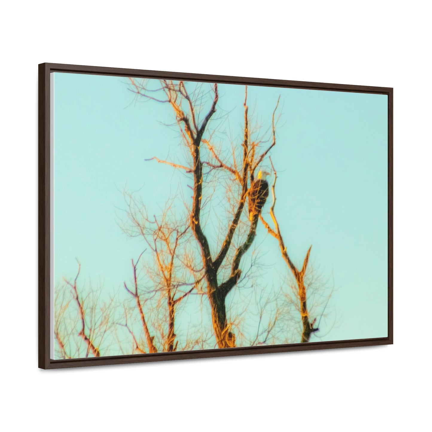 Arts by Dylan: Bald Eagle  Lower Klamath Canvas