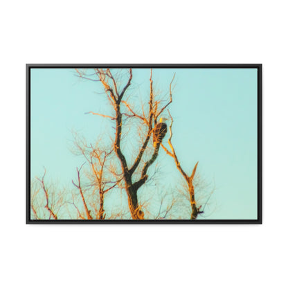 Arts by Dylan: Bald Eagle  Lower Klamath Canvas