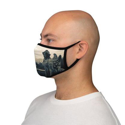 Old Slide Polyester Face Mask