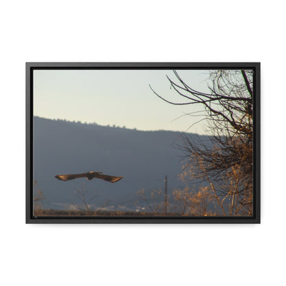 Arts by Dylan: Bald Eagle in Flight III Lower Klamath Canvas