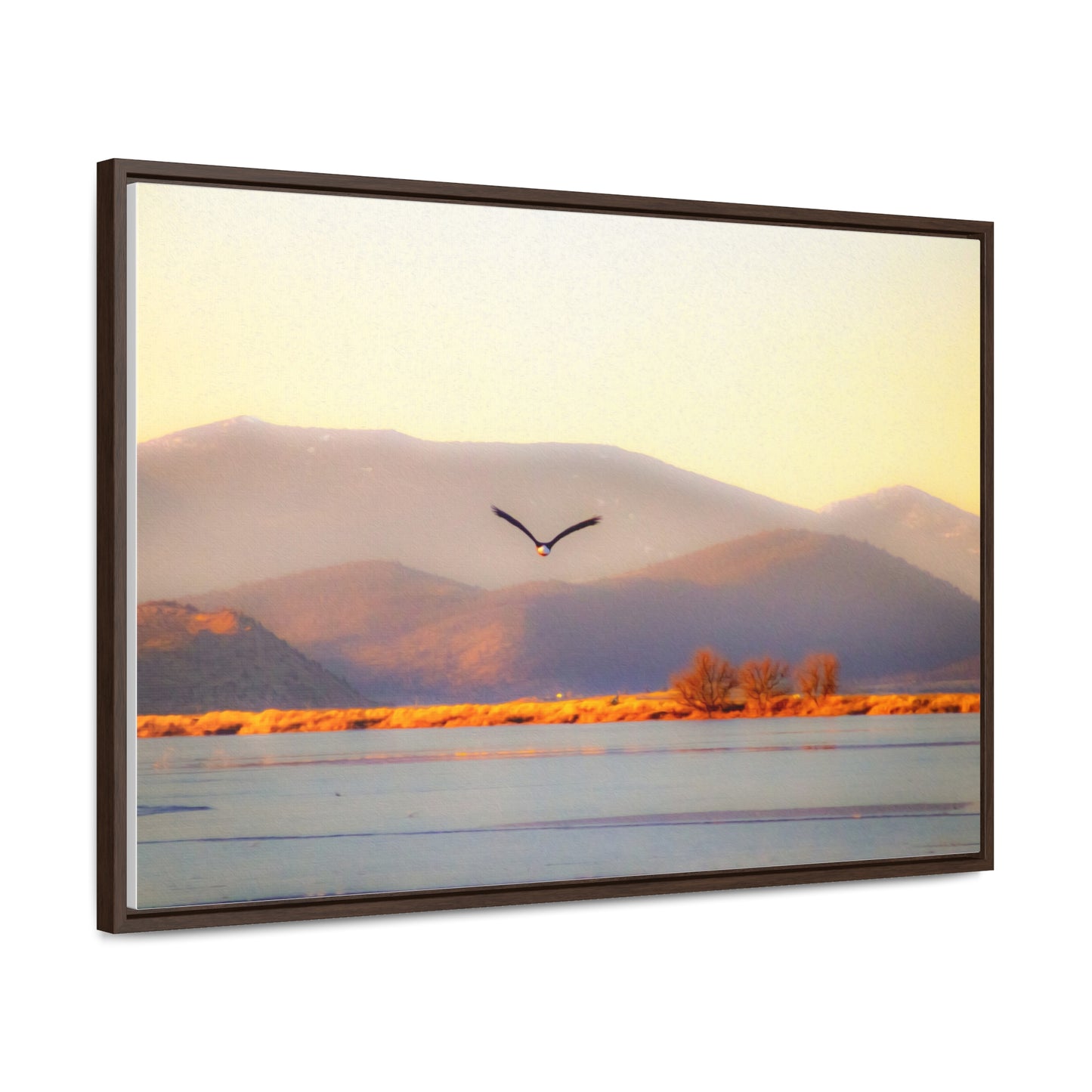 Arts by Dylan: Bald Eagle in Flight II Lower Klamath Canvas