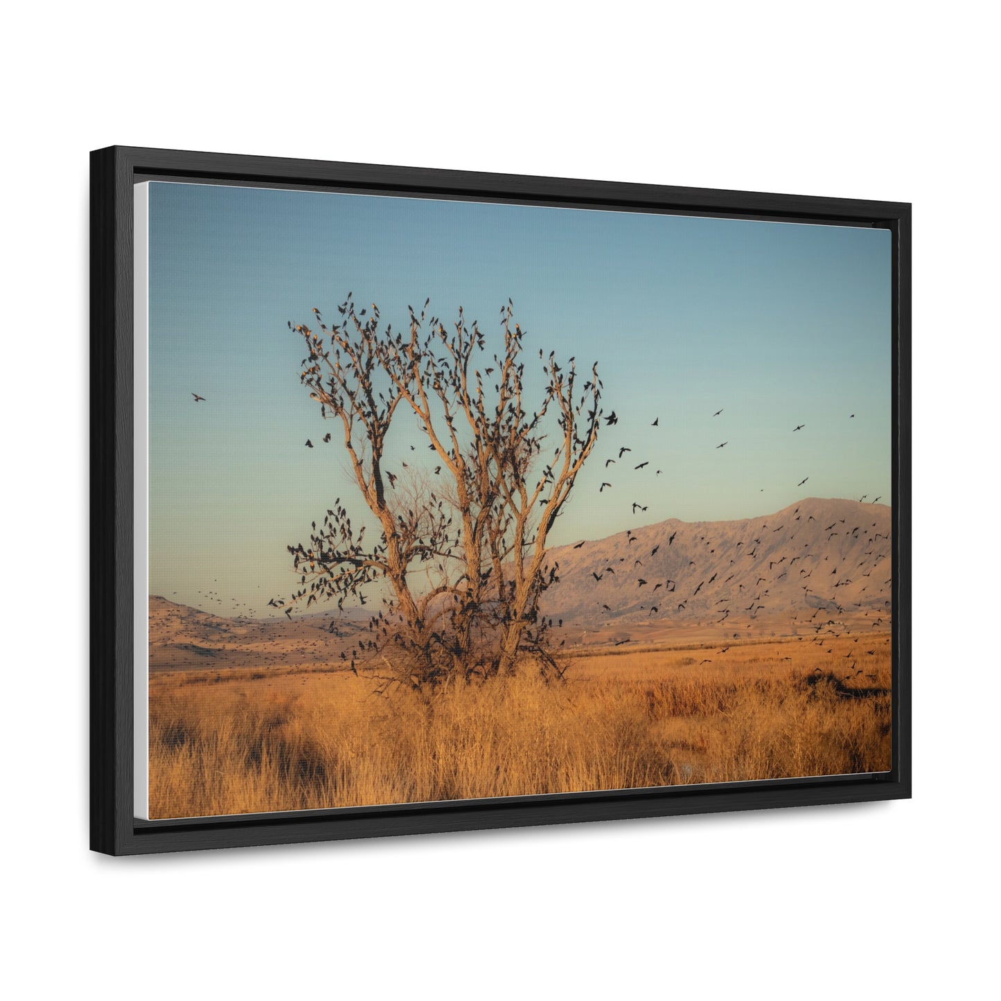 Arts by Dylan: Birds in Flight Lower Klamath Canvas