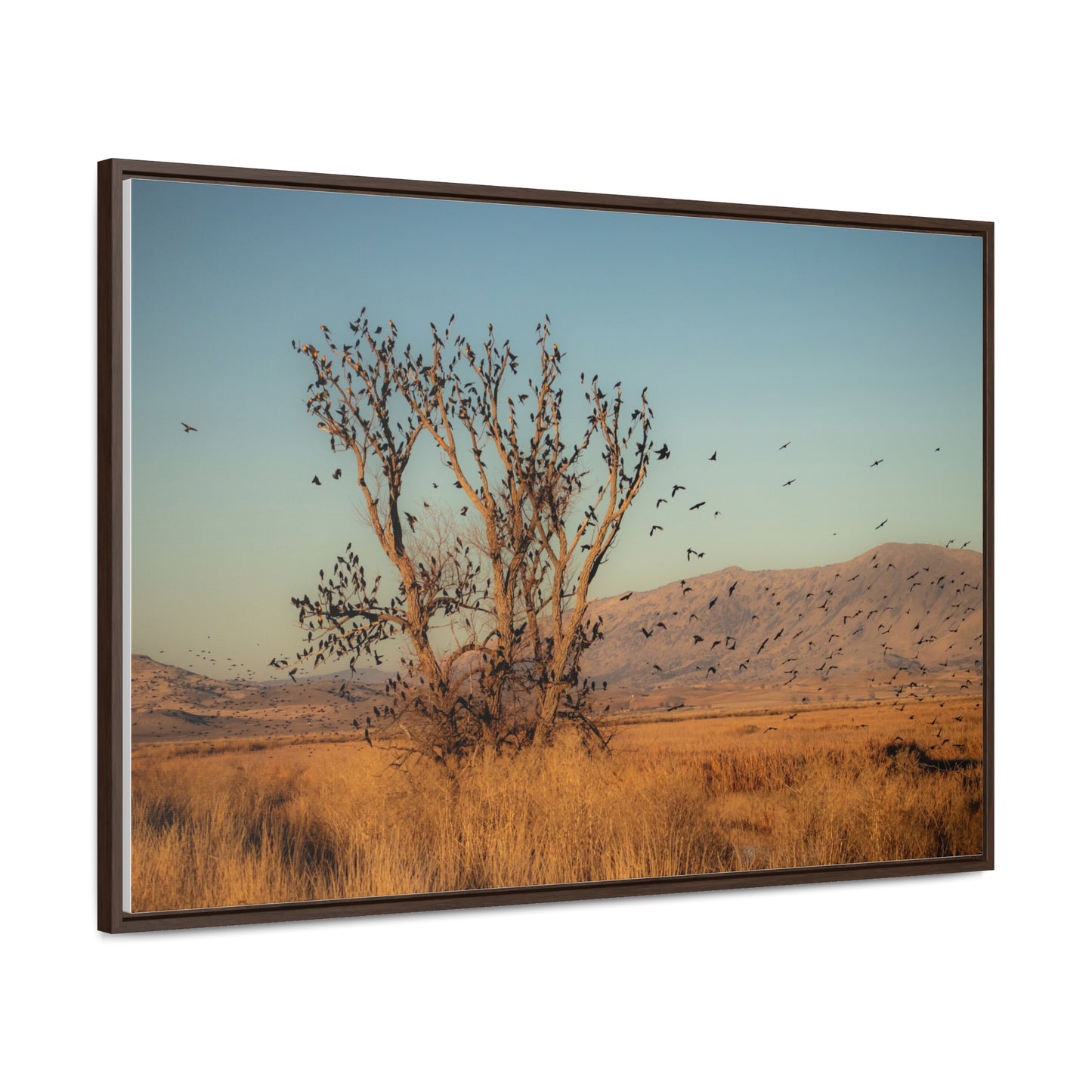 Arts by Dylan: Birds in Flight Lower Klamath Canvas