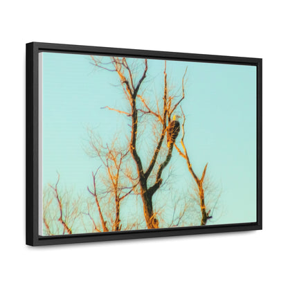 Arts by Dylan: Bald Eagle  Lower Klamath Canvas