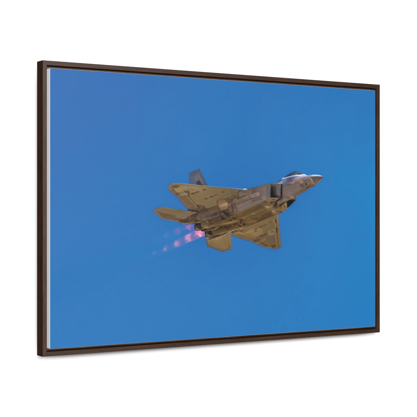 Arts by Dylan: Wings over Solano 2024 F-24 Raptor #2 Canvas