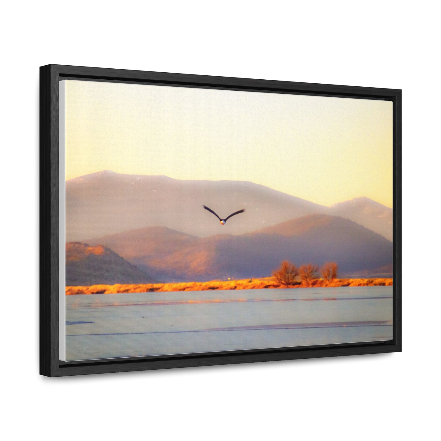 Arts by Dylan: Bald Eagle in Flight II Lower Klamath Canvas