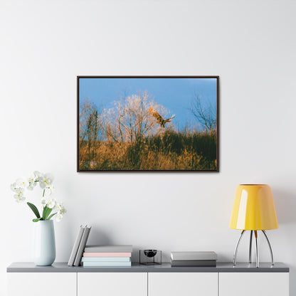 Arts by Dylan: Bald Eagle in Flight I Lower Klamath Canvas