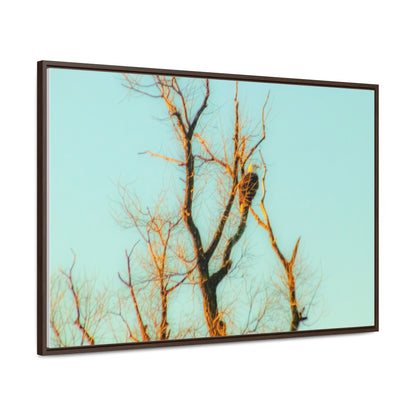 Arts by Dylan: Bald Eagle  Lower Klamath Canvas