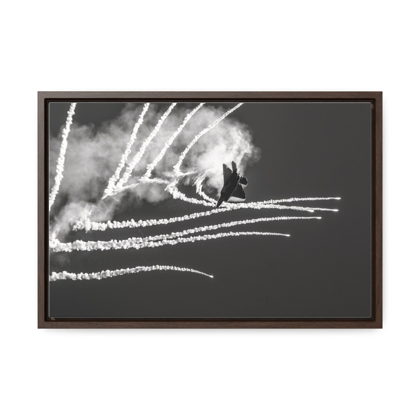 Arts by Dylan: Wings over Solano 2024 F-24 Raptor #1 Canvas