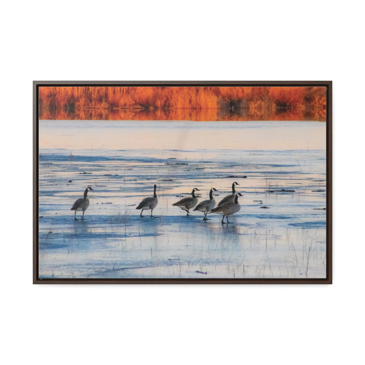 Arts by Dylan: Lower Klamath Basin Frozen Pond Birds Photography Canvas