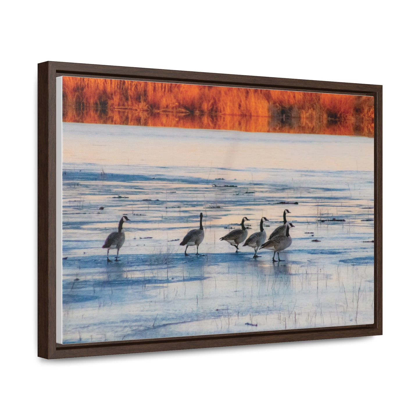 Arts by Dylan: Lower Klamath Basin Frozen Pond Birds Photography Canvas