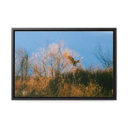 Arts by Dylan: Bald Eagle in Flight I Lower Klamath Canvas