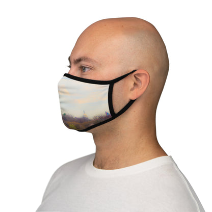 Washington DC Fitted Polyester Face Mask