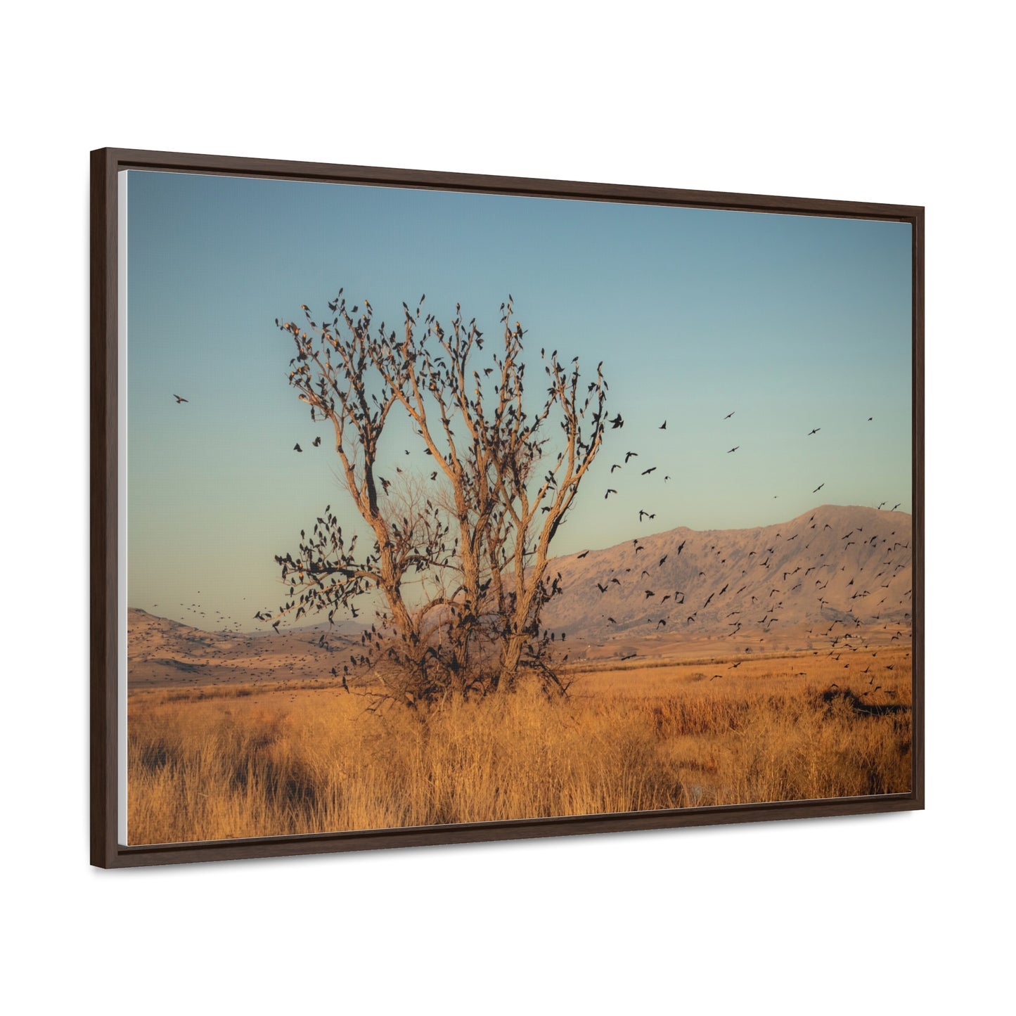 Arts by Dylan: Birds in Flight Lower Klamath Canvas