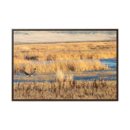 Arts by Dylan: Bald Eagle in Flight IV Lower Klamath Canvas