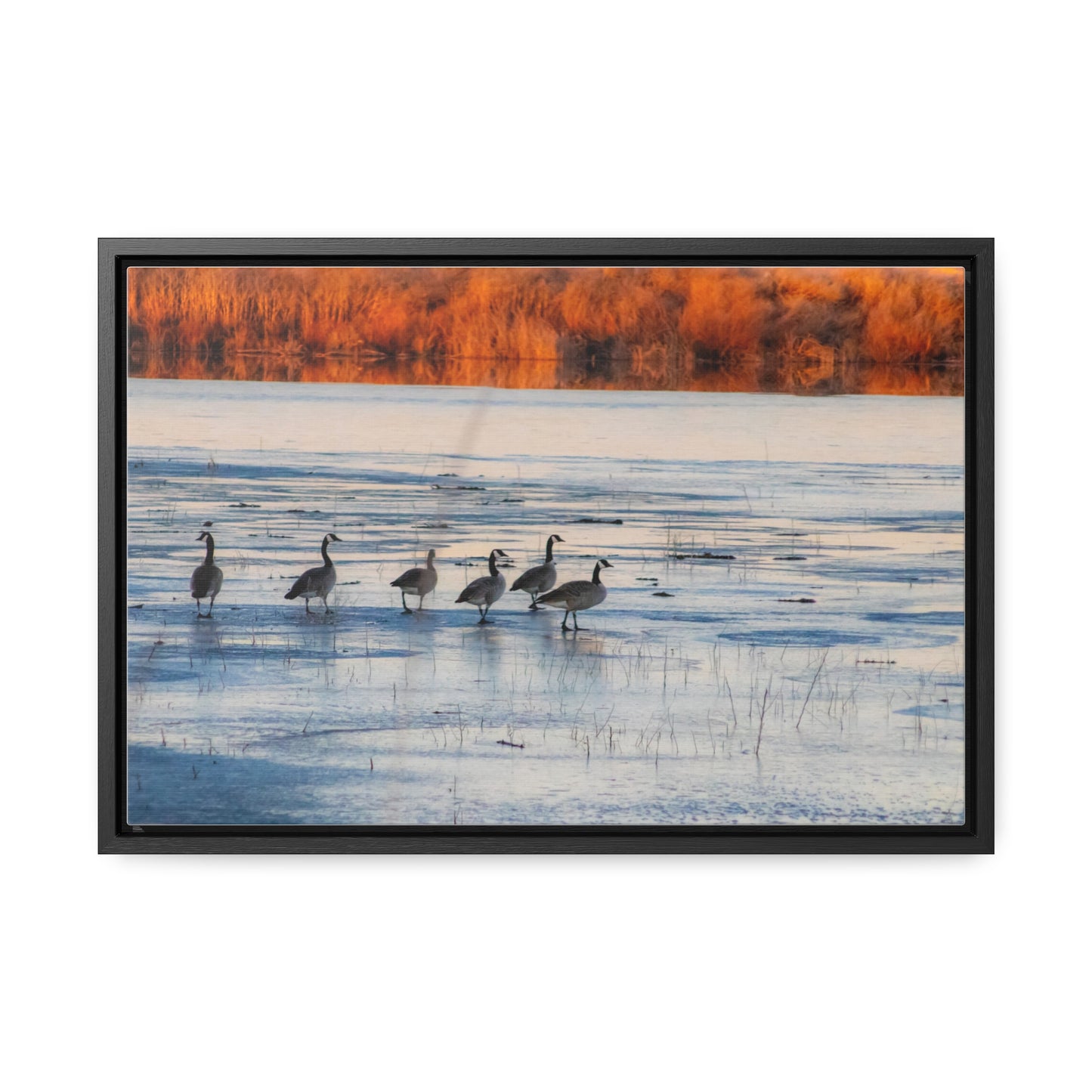 Arts by Dylan: Klamath Basin Birds on Frozen Pond Canvas