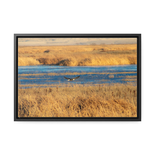 Arts by Dylan: Bald Eagle in Flight VI Lower Klamath Canvas