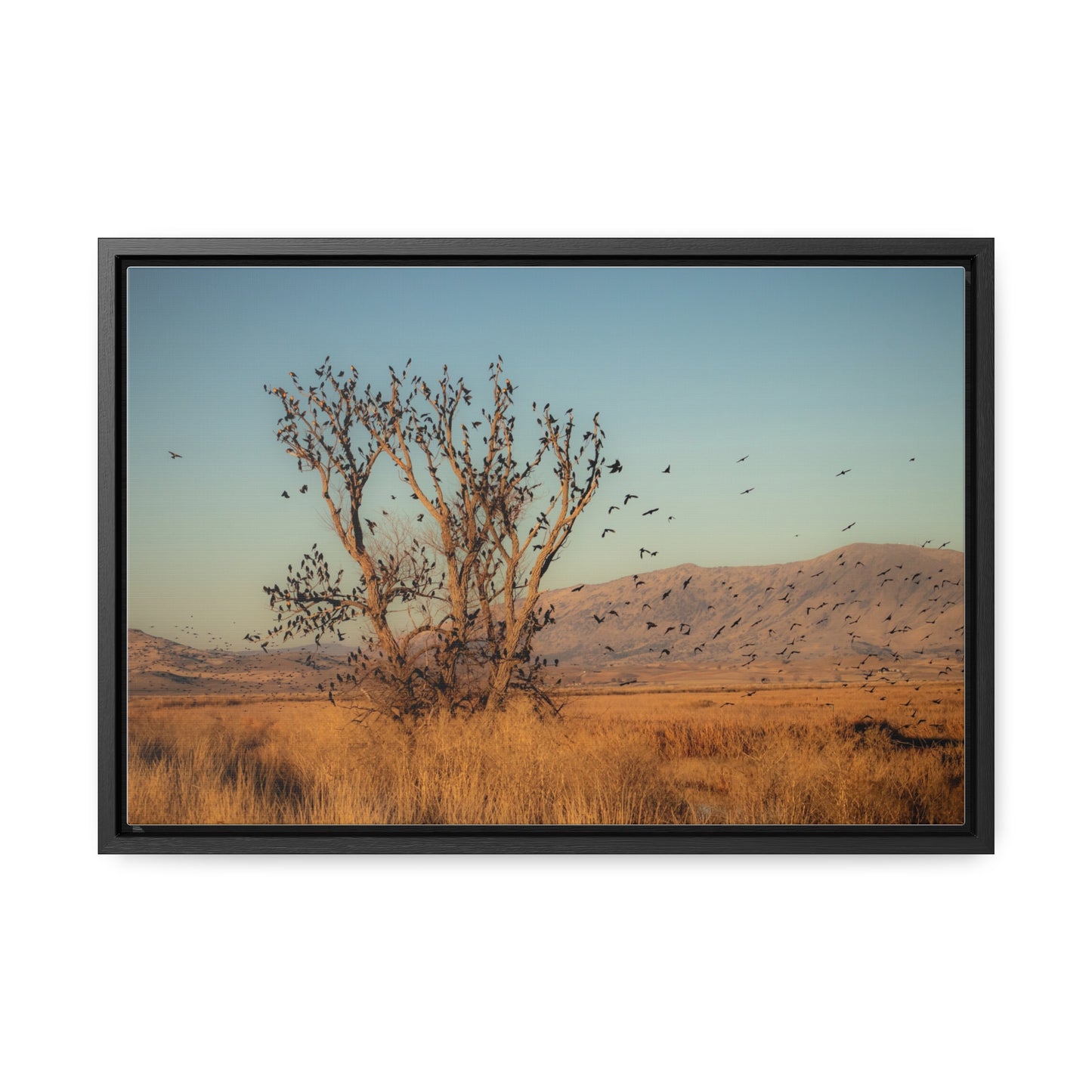 Arts by Dylan: Birds in Flight Lower Klamath Canvas