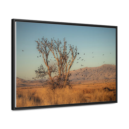 Arts by Dylan: Birds in Flight Lower Klamath Canvas