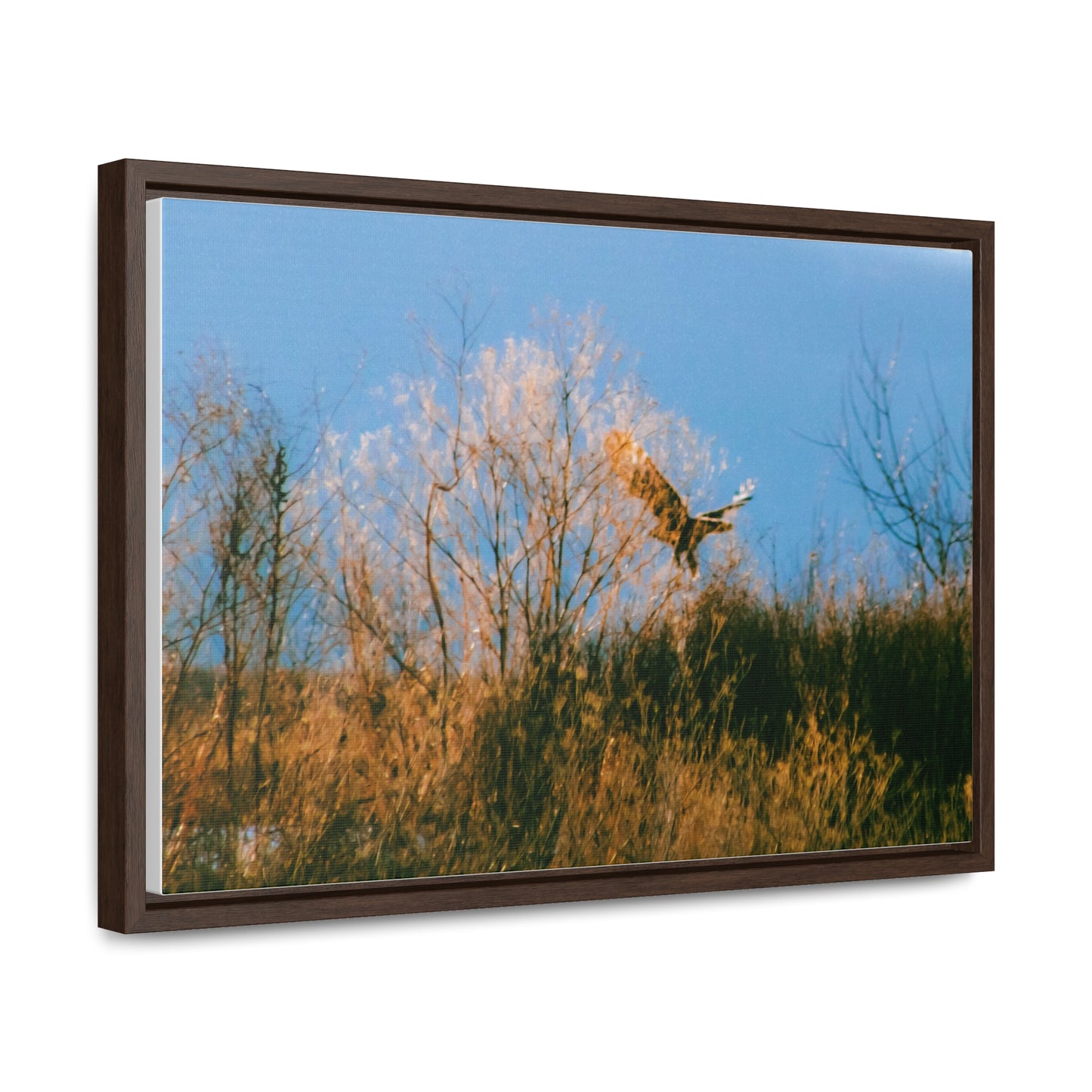 Arts by Dylan: Bald Eagle in Flight I Lower Klamath Canvas