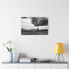 Mt. Shasta Vista Point North 97: Fine Art Stretched Canvas