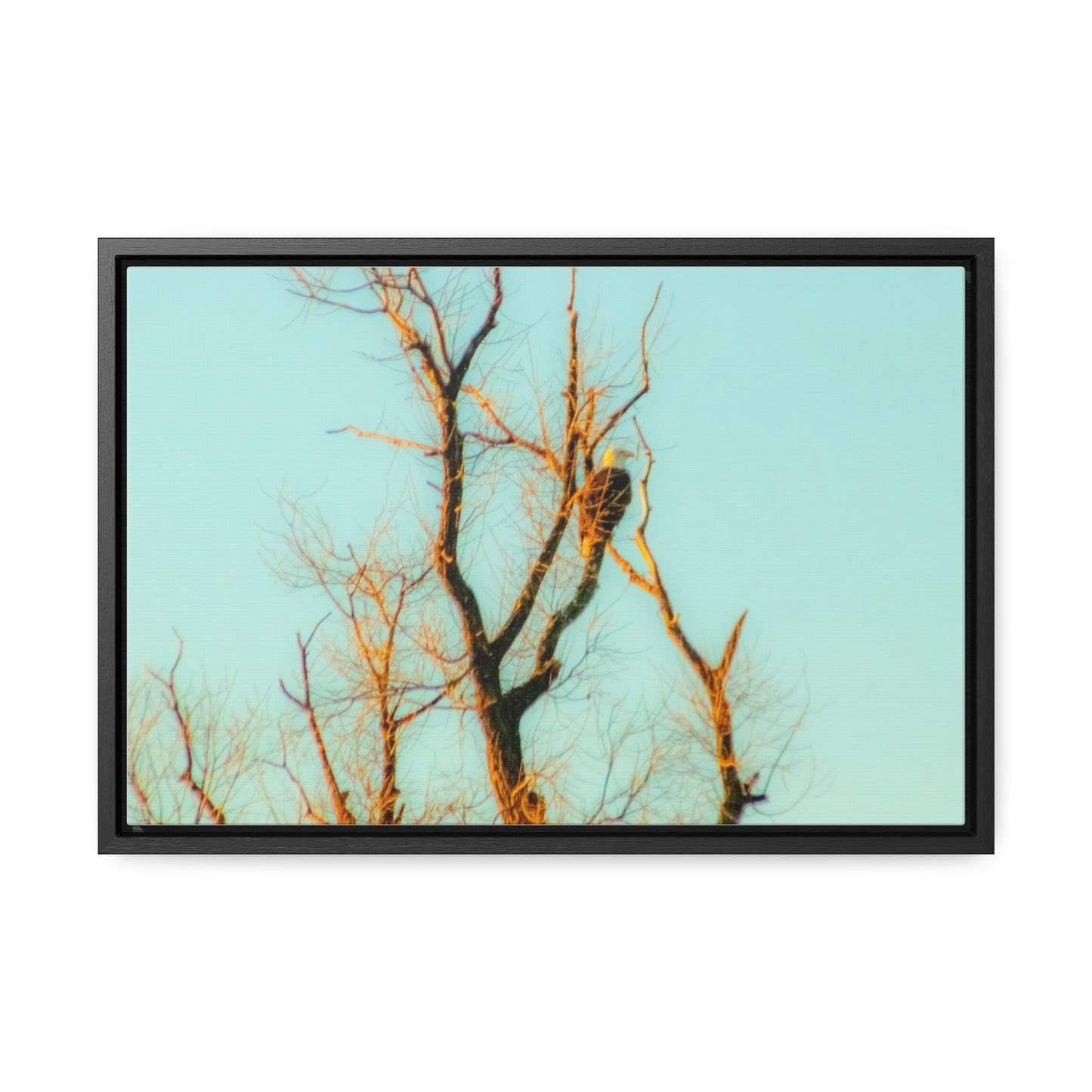 Arts by Dylan: Bald Eagle  Lower Klamath Canvas