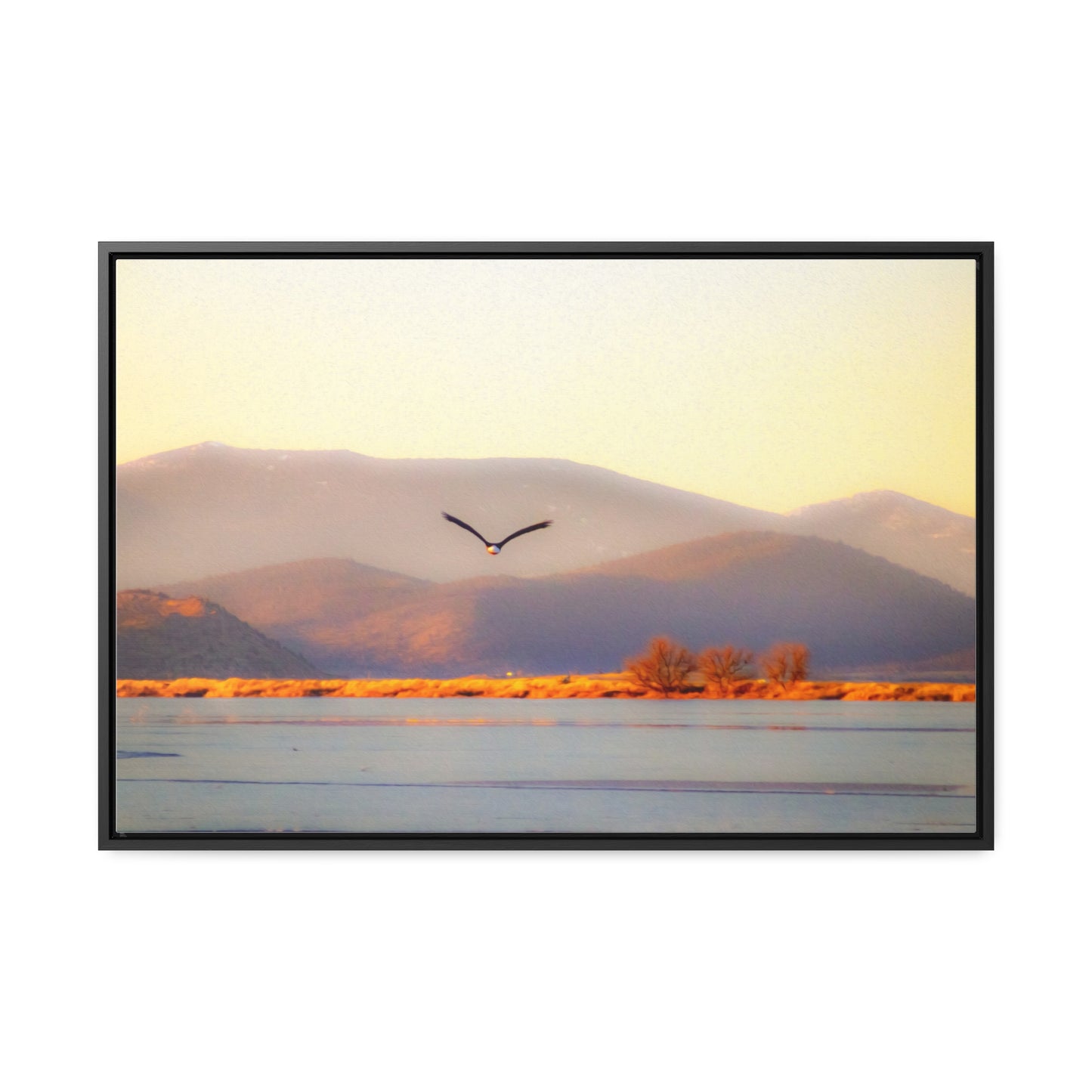 Arts by Dylan: Bald Eagle in Flight II Lower Klamath Canvas