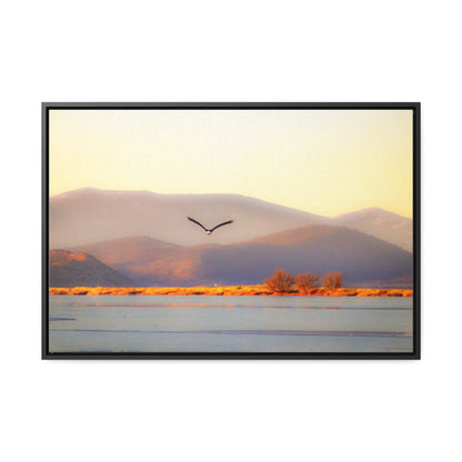 Arts by Dylan: Bald Eagle in Flight II Lower Klamath Canvas