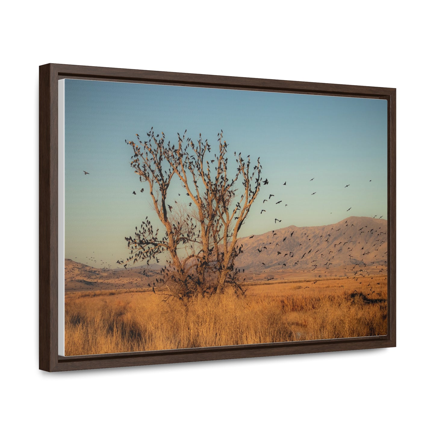 Arts by Dylan: Birds in Flight Lower Klamath Canvas