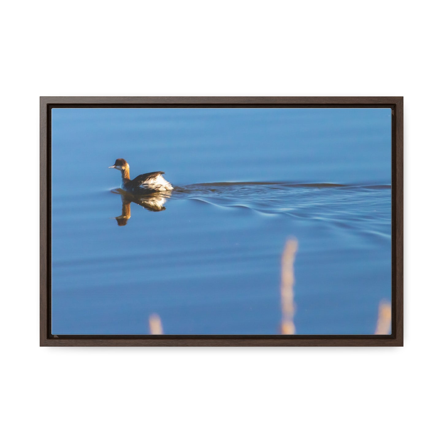 Arts by Dylan: Duck at Tule Lake Lower Klamath Canvas