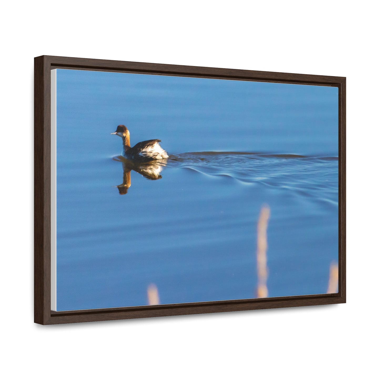 Arts by Dylan: Duck at Tule Lake Lower Klamath Canvas