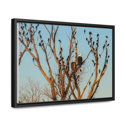 Arts by Dylan: Bald Eagle II Lower Klamath Canvas