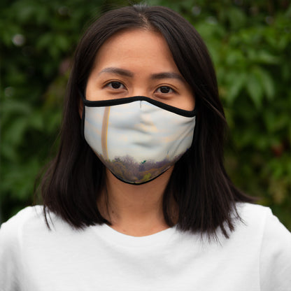 Washington DC Fitted Polyester Face Mask