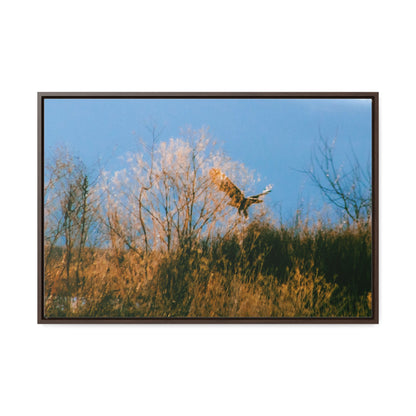 Arts by Dylan: Bald Eagle in Flight I Lower Klamath Canvas