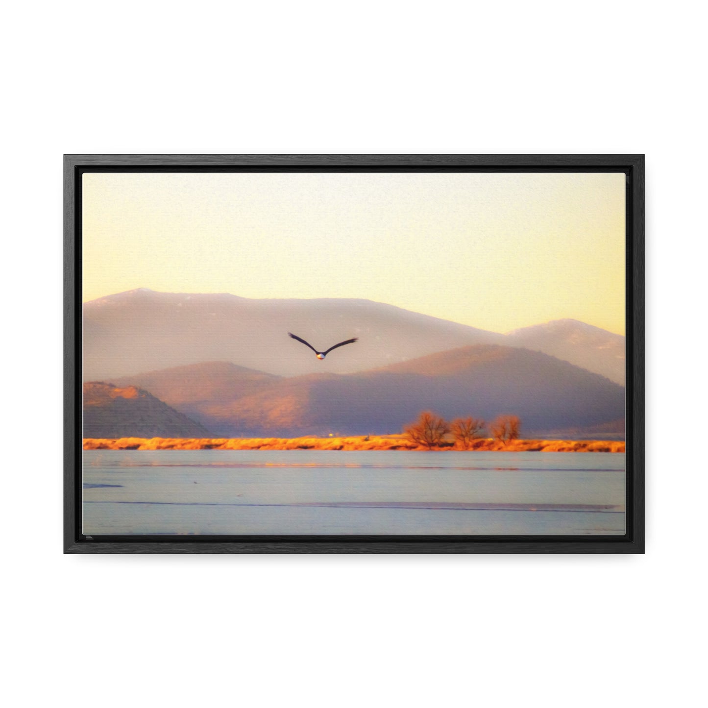 Arts by Dylan: Bald Eagle in Flight II Lower Klamath Canvas